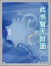 ޵սϵͳС˵