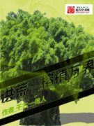 ֲ֮С˵