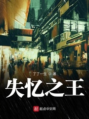 ʧ֮С˵