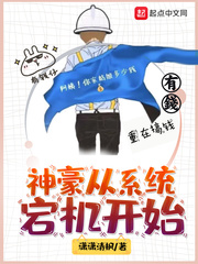 ϵͳ崻ʼĶtxt