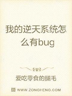 ҵϵͳôbugС˵