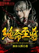 ��������С˵