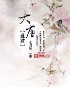 ���Ƶ���С˵