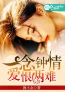 һ�����飬��������С˵