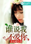 ˭˵�Ҳ�����С˵