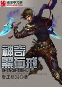 �����ʯ��С˵