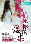 �����������С˵