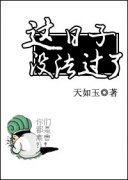 ������û������С˵