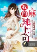 �ҵ�������˾С˵