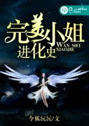 ����С�����ʷС˵