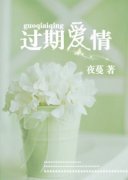 ���ڰ���С˵