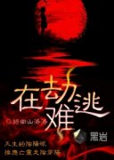 �ڽ�����С˵