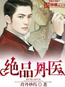 ��Ʒ��ҽС˵