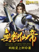 �޼��ɵ�С˵