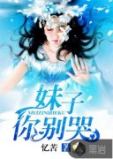 ��������С˵