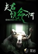 �����������С˵