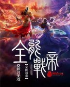 ȫ��ս��С˵