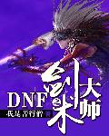DNF֮������ʦС˵
