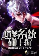 �ӵ�ϵͳ���Ϲ�С˵