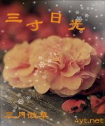 �����չ�