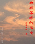 �Ǳ���������ʷС˵