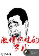 ����ȼ�յ�����С˵