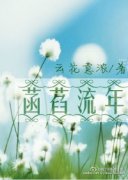 ��������֮׷��С˵