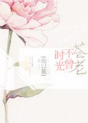 ʱ�ⲻ������С˵