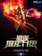 ��ǿ��ը����С˵