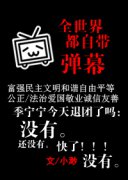 ȫ���綼�Դ���Ļ�����Ķ�txt����