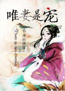 Ψ���ǳ�С˵