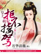 ����������������Ҫ��飡С˵