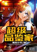 ����Ʒ����С˵