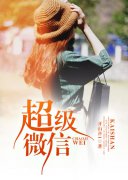 ����΢��С˵