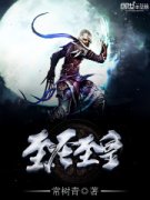 ��ʥ����С˵