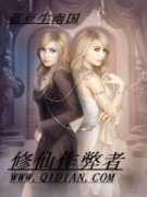 ����������С˵