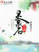 ��Ȫʯ����С˵