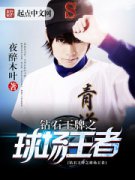 ��ʯ����֮������С˵