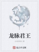 ��������С˵