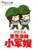 ��������С��ɩС˵