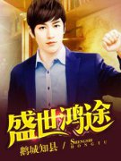 ʢ����;С˵