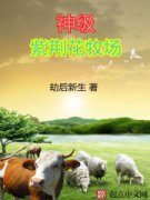 ���Ͼ�������С˵