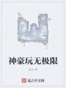 ������޼���С˵