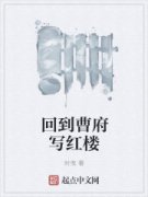 �ص��ܸ�д��¥С˵