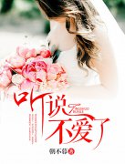 ��˵������С˵