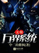 �������ϵͳС˵