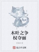 ľҶ֮��Ȩ����С˵