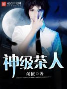 �񼶲���С˵