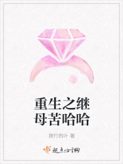 ����֮��ĸ�����С˵