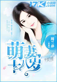 ����ʮ����С˵